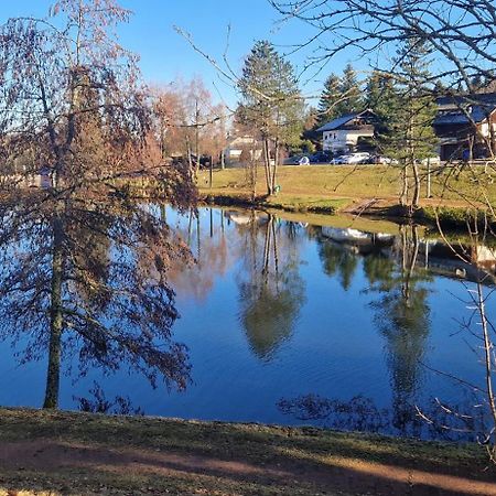 Ferienwohnung Panorama Schwarzwald Herrischried Kültér fotó
